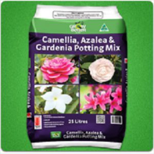 Gb Camellia, Azalea Potting Mix 25lt