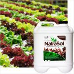 Natrasol Premium Seaweed Conc 2lt