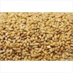 Pro-vit-min Whole Barley  20kg