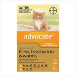 Bayer Advocate Cat 0-4kg 6 Pack