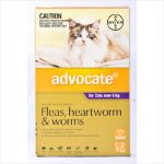 Bayer Advocate Cat 4kg+ 3 Pack