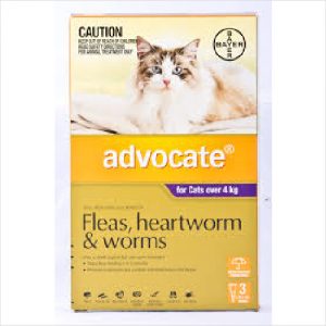 Bayer Advocate Cat 4kg+ 3 Pack