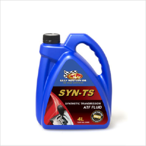 Gw Syn -ts 1 Litre