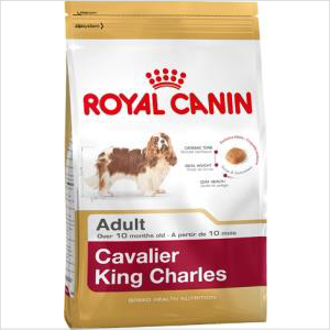 Rc Dog Cavalier King Charles 3kg