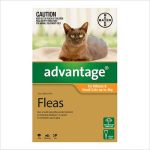 Bayer Advantage Cat 0-4kgs Small 4 Pack