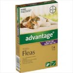 Bayer Advantage Cat 4kgs +  Large 4 Pack