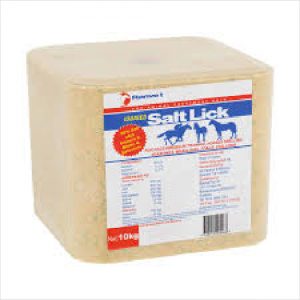 Ranvet Salt Lick (iodised) 10kg