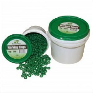 Bb Marking Rings Green 100pk