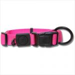 Bb Nylon Dog Collar With Logo 15-25cm