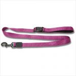 Bb Nylon Leash With Logo- Sm 1.5×120