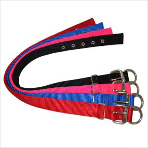 Bb Dog Collar Web Nylon 55cm