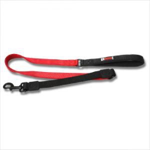 Bb Bungee Leash Neoprene Handle