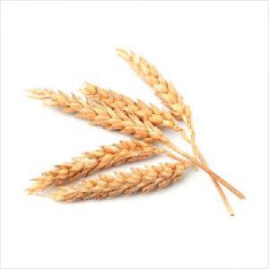 Pro-vit-min Wheat