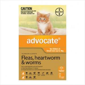Bayer Advocate Kitten 0-4kgs Small X1