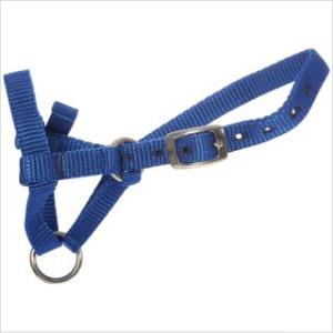 Shoof Halter Webbing Alpaca Red Large