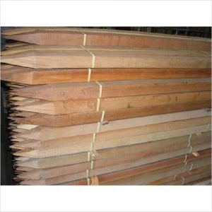 Rally Wood Stakes 2100mmx35mmx35x Pkt 10