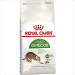 Rc Cat Outdoor 2kg