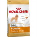 Rc Dog Poodle 1.5kg