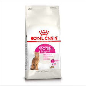 Rc Cat Fhn Protein Exigent 2kg