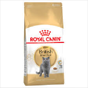 Rc Cat Fbn British Shorthair 2kg