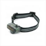 Petsafe Litle Dog Deluxe In Collar