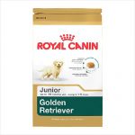 Rc Dog Golden Retriever Puppy 12kg