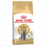 Rc Cat Bhn British Shorthair 10kg