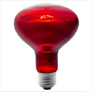 Kongs 150w Heat Lamp