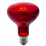 Kongs Hal 28w Heat Lamp