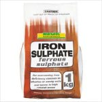 Gb Manutec Iron Sulphate 1kg
