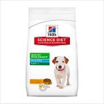 Hs Puppy Sml Toy Brd 1.5kg