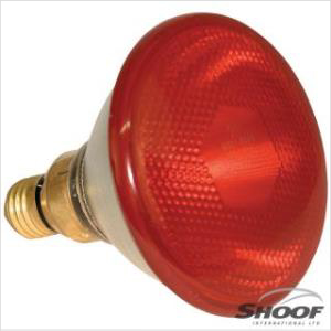 Shoof Lamp Infrared Kerbi Red 100w