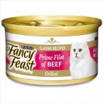 Ff Prime Filet Of Beef 24x85g