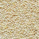 Pro-vit- Min White Millet 20kg