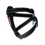 Ezydog Harness Cp L Black