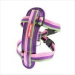 Ezydog Harness Chest Plate M Bubble Gum