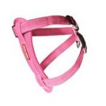 Ezydog Harness Cp Xs Pink
