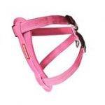 Ezydog Harness Cp Xl Pink