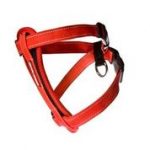 Ezydog Harness Cp L Red