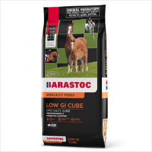 Rid Ker Low Gi Horse Stud Cube 20kg