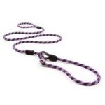 Ezydog Leash Luca 170cm Purple