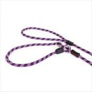 Ezydog Leash Luca Lite 170cm Purple