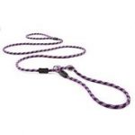 Ezydog Leash Luca Lite 170cm Purple